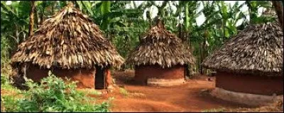 Lequel de ces drapeaux est celui du Togo ?