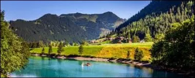 Lequel de ces drapeaux est celui du Liechtenstein ?