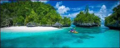 Lequel de ces drapeaux est celui de la Micronésie ?