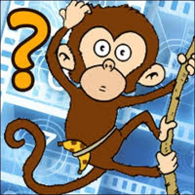 Où peut-on voir ce singe ?