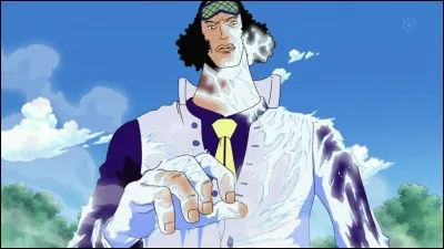 Quelle technique de combat n'appartient pas à Kuzan Aokiji ?