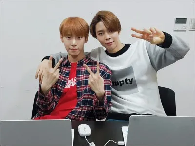 Quels membres intègrent le groupe en janvier 2017 ?