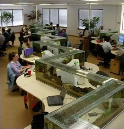 Bureau aquarium ! Combien d'heures travaille-t-on environ aux Pays-Bas ?