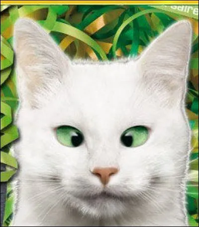 Comment s'appelle le chat blanc de chez "Feu vert" ?