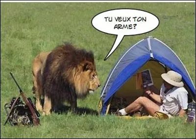 Lequel des romans de Kessel a atteint le plus fort tirage (plus de 3 millions d'exemplaires) ?