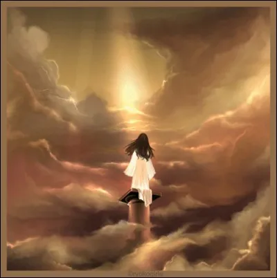 Langue-de-buf, il montre spathes blanches.