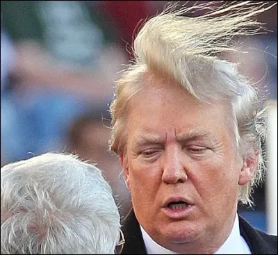 Quel nom d&eacute;signe &agrave; la fois une touffe de cheveux et une effronterie ?