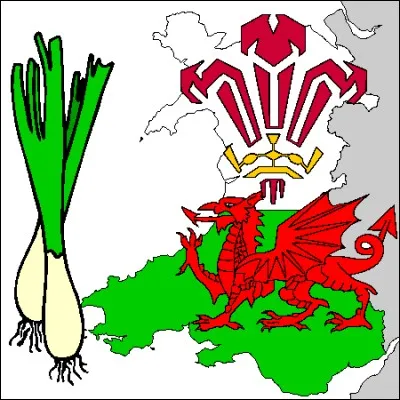 Quelle &eacute;quipe du tournoi des VI Nations a le poireau pour embl&egrave;me ?