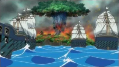 Un Buster Call a détruit Ohara, l'île natale de Robin. Qui en a déclenché un sur Enies Lobby sans le vouloir ?