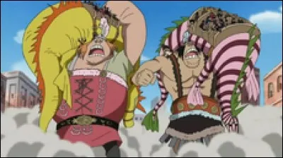 Comment les deux géants, qui défendent l'île mais qui vont être du côté de Luffy, s'appellent-ils ?
