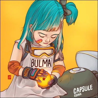 Qui a déjà vu la ***** de Bulma ?