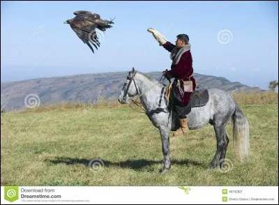 Sur ces steppes plane encore l'esprit du grand Khan, prenez l'avion pour ...