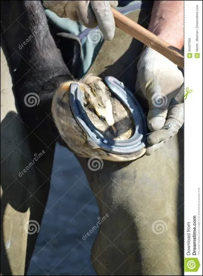 Comment s'appelle celui qui pose les fers ?