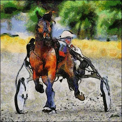 Cette discipline est de la course.