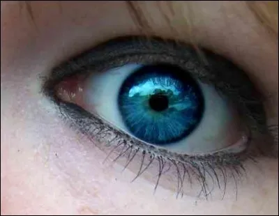 De quelle couleur sont vos yeux ?