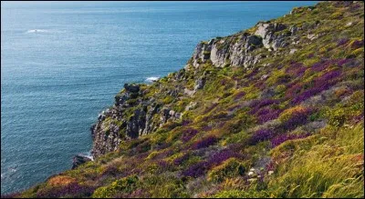 Cette photo a-t-elle été prise en France métropolitaine ?
