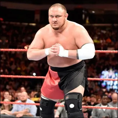Lors du Raw d'avant Money in the Bank, qui a dû être séparé par d'autres superstars d'une bagarre avec Samoa Joe ?