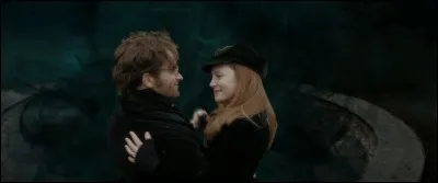 Qui joue James Potter ?