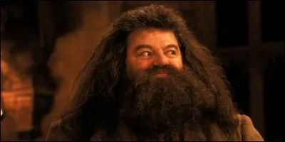 Qui joue Rubeus Hagrid ?