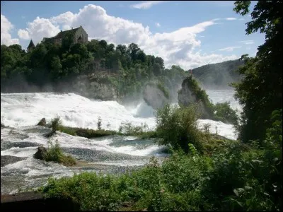 Quel terme d&eacute;signe l'&eacute;levage de vers de terre ?