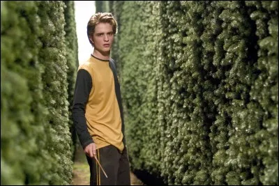 Qui joue Cedric Diggory ?