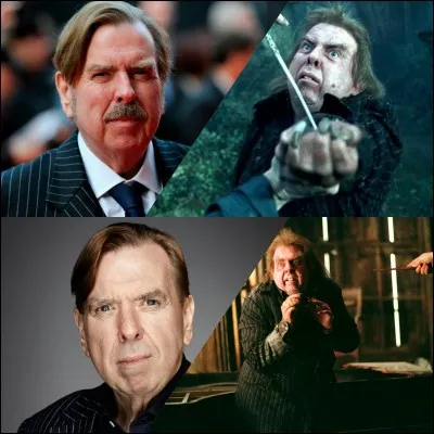 Qui joue Peter Pettigrow ?