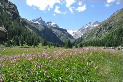 SVT : Comment appelle-t-on le versant nord d'une vallée ?