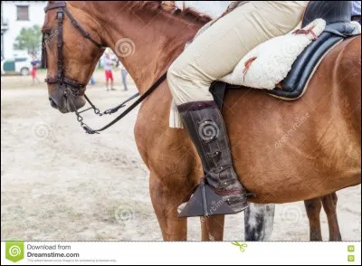 Donne l'équipement obligatoire du cavalier.