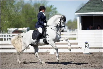 Quelle est la discipline représentée sur cette image ?