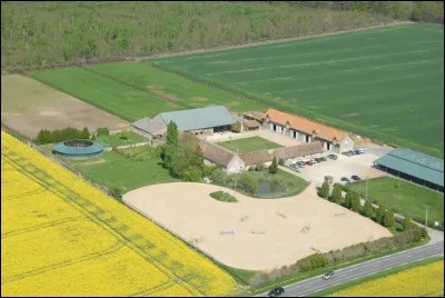 Que trouve-t-on forcément dans un centre équestre ?