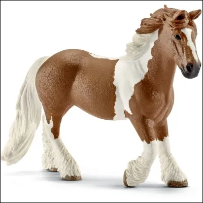 De quelle race est ce cheval Schleich ?