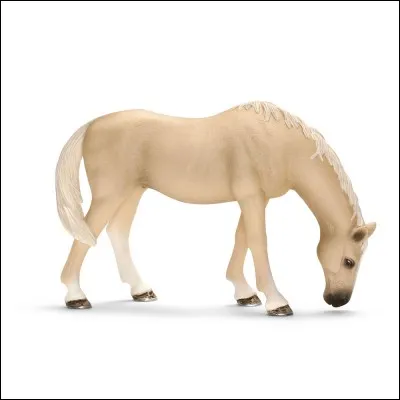 De quelle race est ce cheval Schleich ?