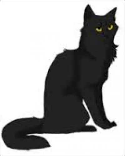 Qui a succédé à Étoile Brisée ?