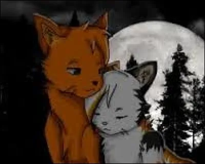 Comment s'appelle la(les) chatte(s) dont Cur de Feu est amoureux ?