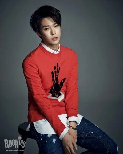 Doyong des NCT U et 127 a chanté avec quelle fille des Red Velvet ?