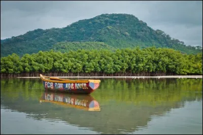 A quel continent appartient la Sierra Leone ?