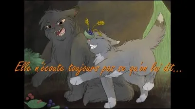 Qui était censé tomber dans le piège sur le Chemin de Tonnerre ?