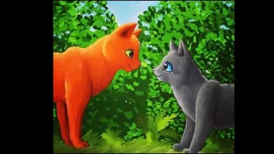 Qui était le mentor de Museau Cendré avant d'être infirme ?