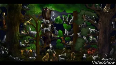 Que se passe-t-il lors de la pleine lune ?