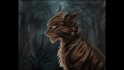 Quel lieutenant se fera tué par Étoile du Tigre ?