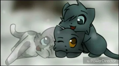 Combien de chatons a eu Étoile Bleue ?