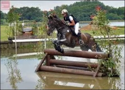 Quelle est ta discipline équestre favorite ?