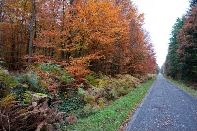 Quel est le point culminant du département ?