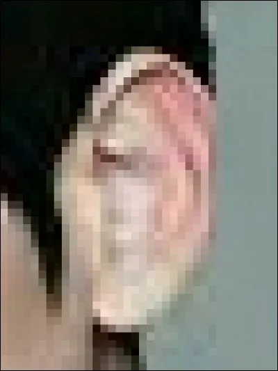 À qui est cette magnifique oreille ?