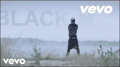 Ce clip est le premier à être sorti sur la chaîne Youtube de Black M, c'est :