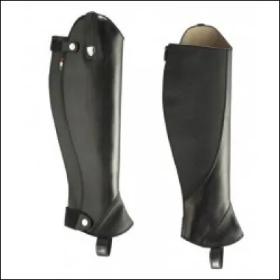 Qu'est-ce que c'est ?