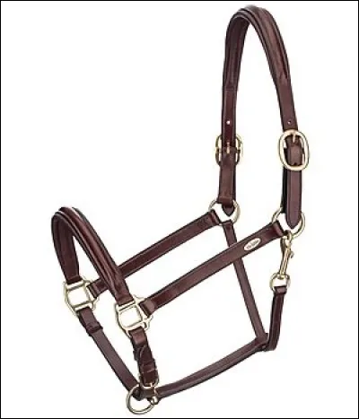 Qu'est-ce que c'est ?