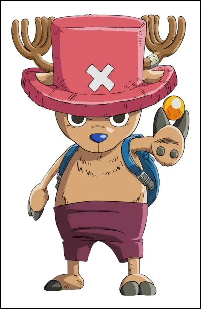 Quand Nami tombe malade, quel est le personnage, venant de l'île de Drum, que les Mugiwara rencontrent en premier ?