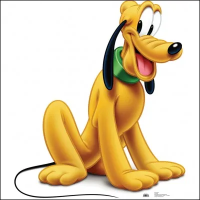 Comment s'appelle le chien de Mickey ?