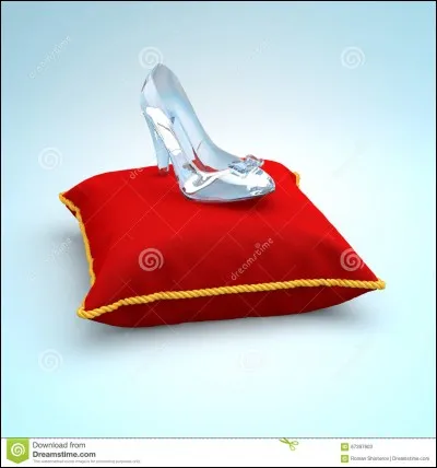 À qui appartient cette chaussure ?